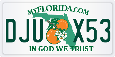 FL license plate DJUX53