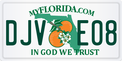 FL license plate DJVE08