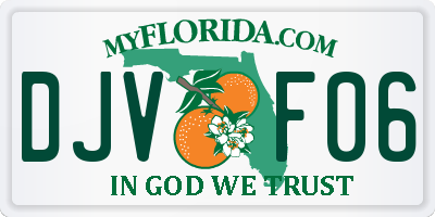 FL license plate DJVF06