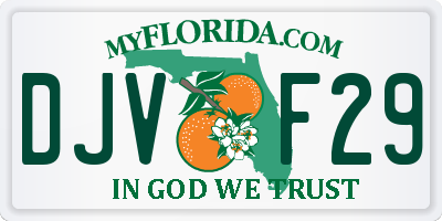FL license plate DJVF29