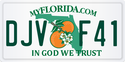 FL license plate DJVF41