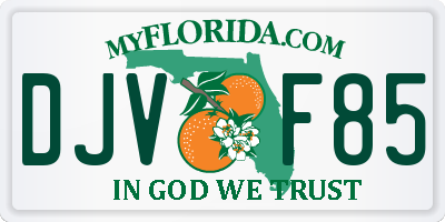 FL license plate DJVF85