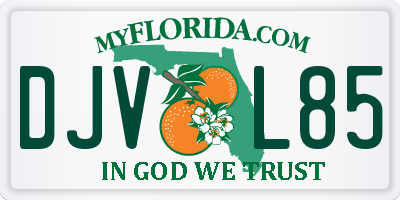 FL license plate DJVL85