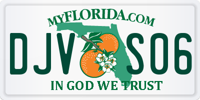 FL license plate DJVS06