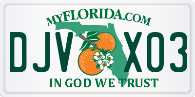 FL license plate DJVX03