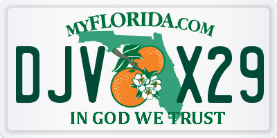 FL license plate DJVX29