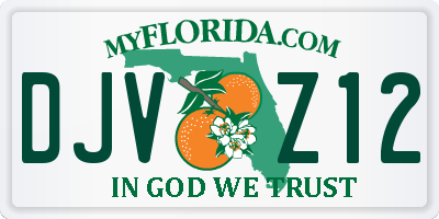 FL license plate DJVZ12