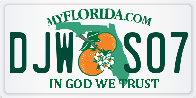 FL license plate DJWS07