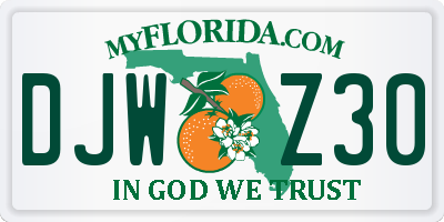 FL license plate DJWZ30