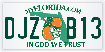 FL license plate DJZB13