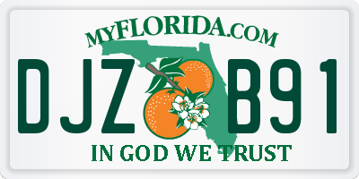 FL license plate DJZB91
