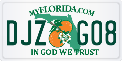 FL license plate DJZG08