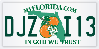 FL license plate DJZI13