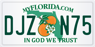 FL license plate DJZN75