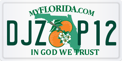 FL license plate DJZP12