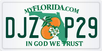 FL license plate DJZP29