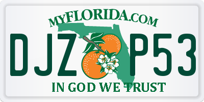 FL license plate DJZP53