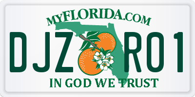 FL license plate DJZR01