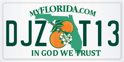 FL license plate DJZT13