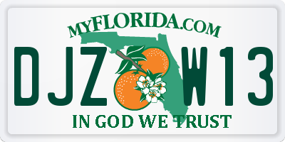 FL license plate DJZW13