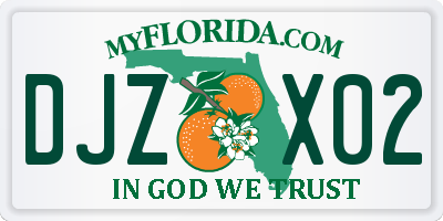FL license plate DJZX02
