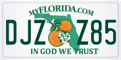 FL license plate DJZZ85
