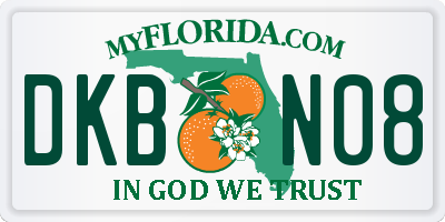FL license plate DKBN08