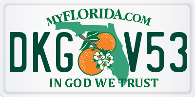 FL license plate DKGV53