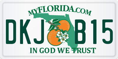 FL license plate DKJB15
