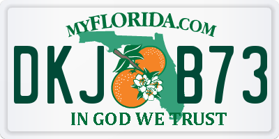 FL license plate DKJB73