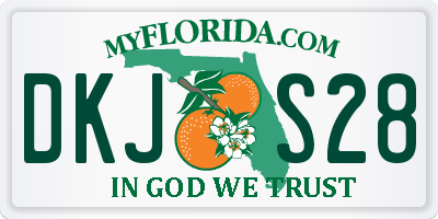 FL license plate DKJS28