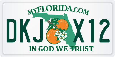 FL license plate DKJX12