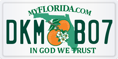 FL license plate DKMB07