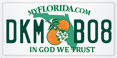 FL license plate DKMB08