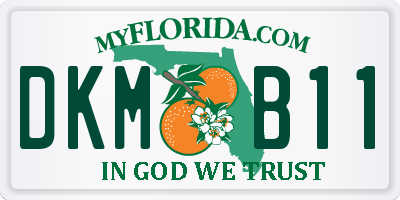 FL license plate DKMB11