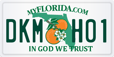 FL license plate DKMH01