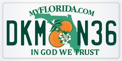 FL license plate DKMN36