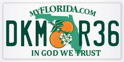 FL license plate DKMR36