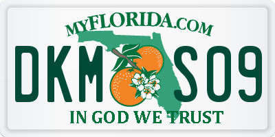 FL license plate DKMS09