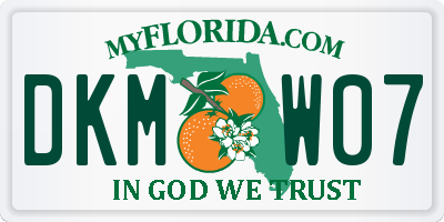 FL license plate DKMW07