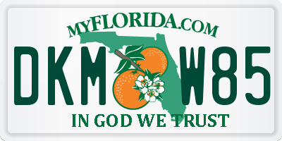 FL license plate DKMW85