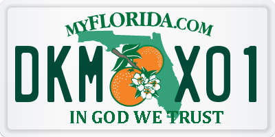 FL license plate DKMX01