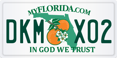 FL license plate DKMX02