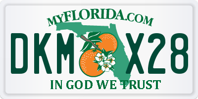 FL license plate DKMX28