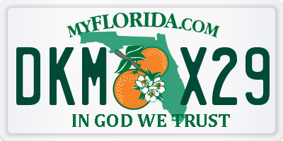 FL license plate DKMX29