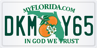 FL license plate DKMY65
