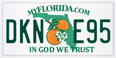 FL license plate DKNE95