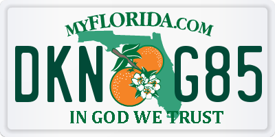 FL license plate DKNG85