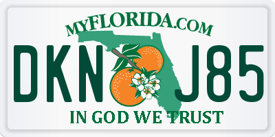 FL license plate DKNJ85