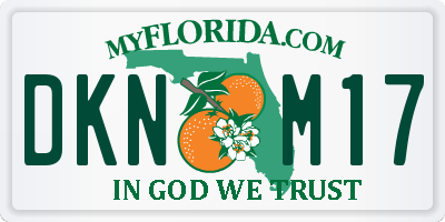 FL license plate DKNM17